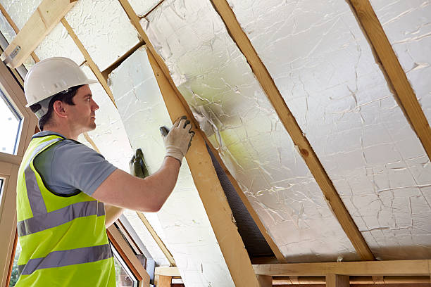 Best Spray Foam Insulation  in Elk River, MN