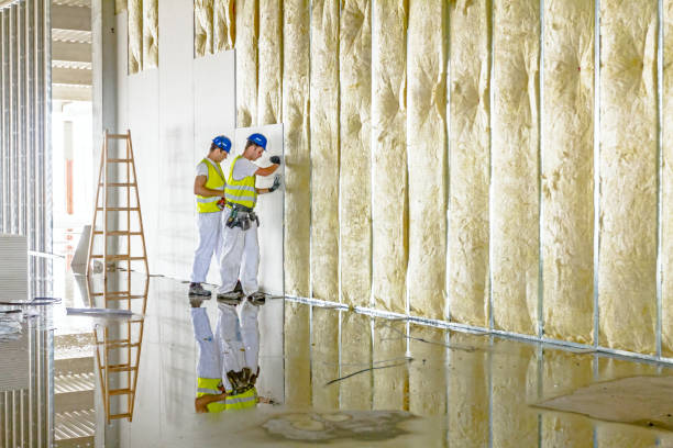 Best Crawl Space Insulation  in Elk River, MN